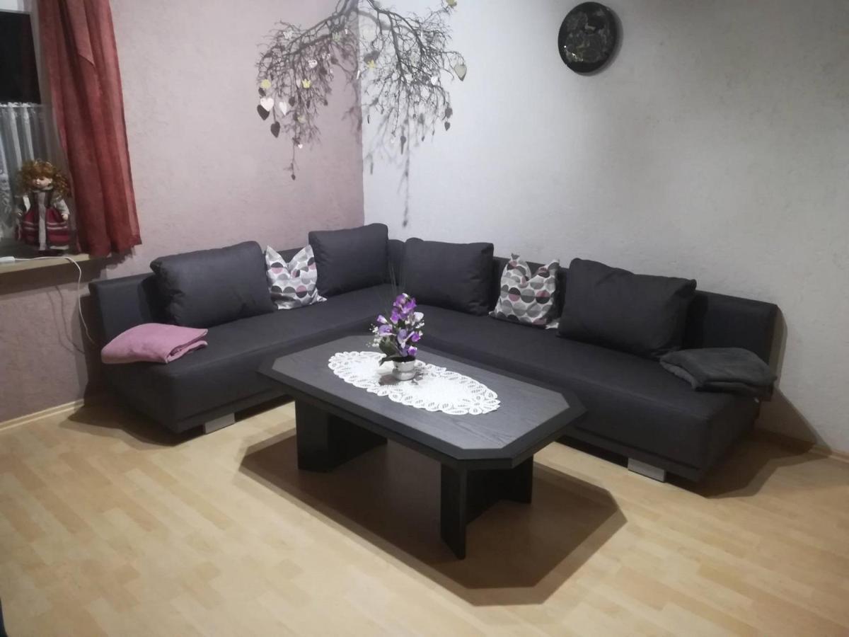 Ferienwohnung Preuss Martinlamitz المظهر الخارجي الصورة